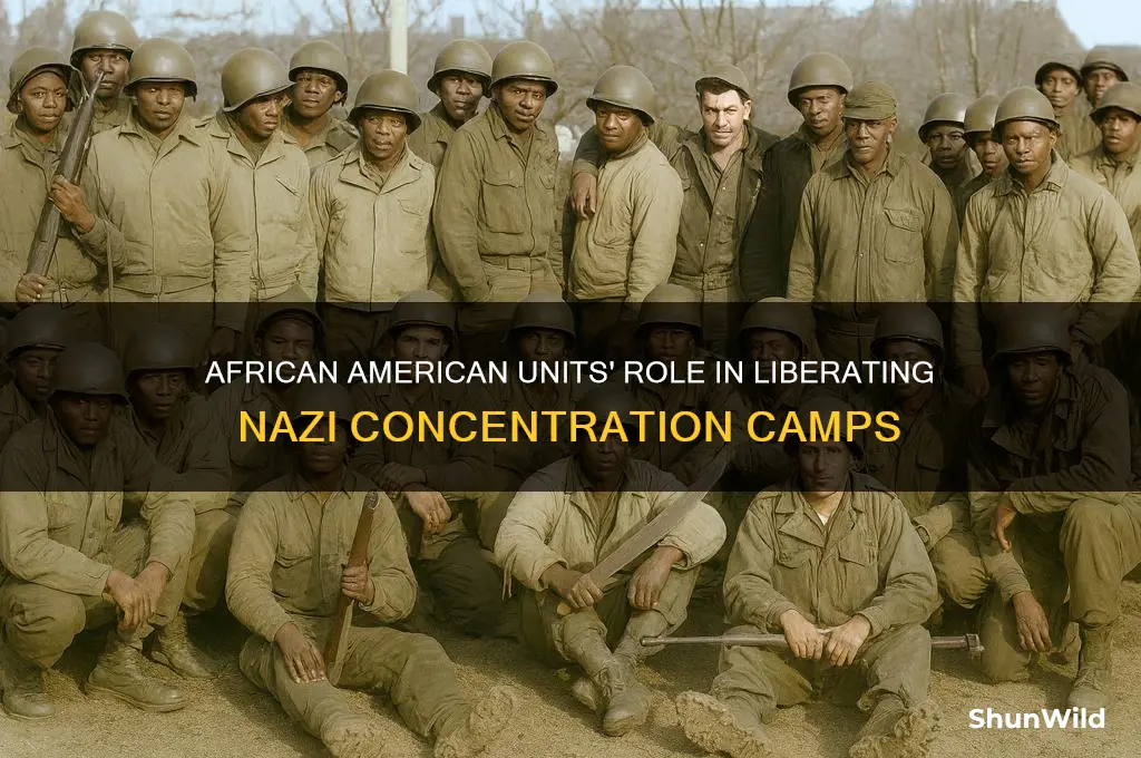 did any african american units liberate concentration camps