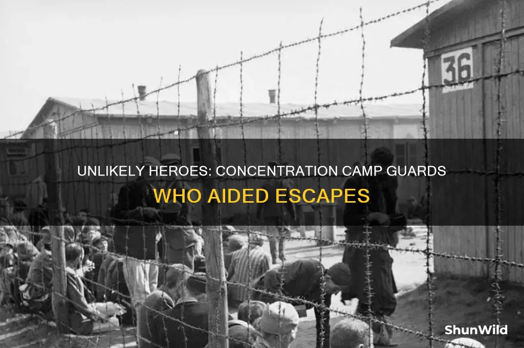 did any concentration camp guards help people escape