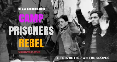 Resistance in Darkness: Did Concentration Camp Prisoners Rebel?