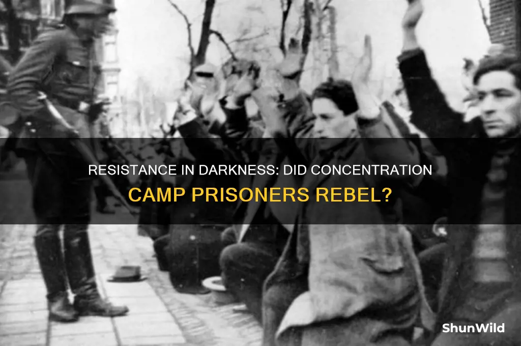 did any concentration camp prisoners rebel