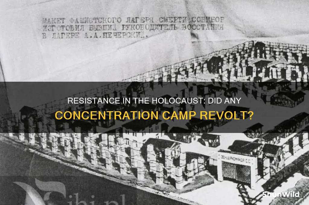 did any concentration camp revolt