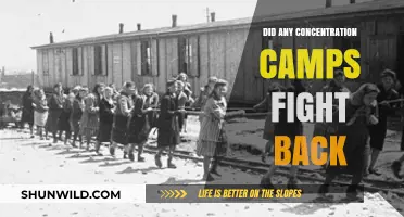 Resistance in Concentration Camps: Stories of Courage and Defiance