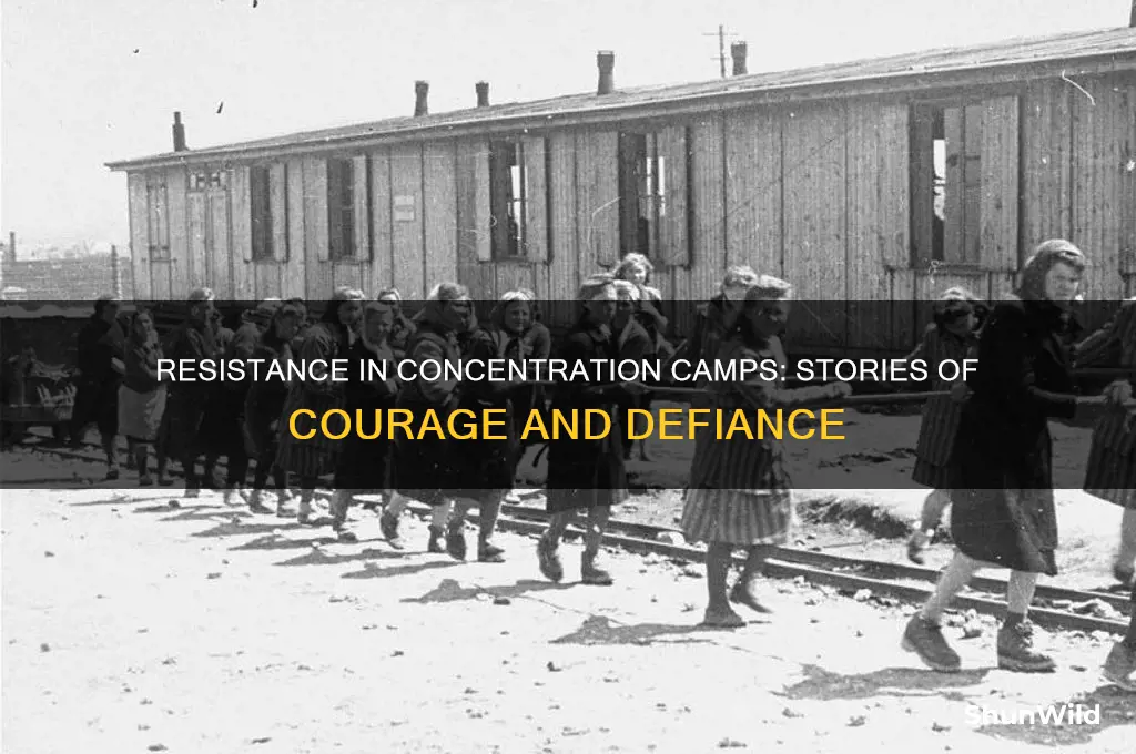 did any concentration camps fight back