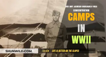 Jewish Brigades' Role in Liberating WWII Concentration Camps: Facts Revealed