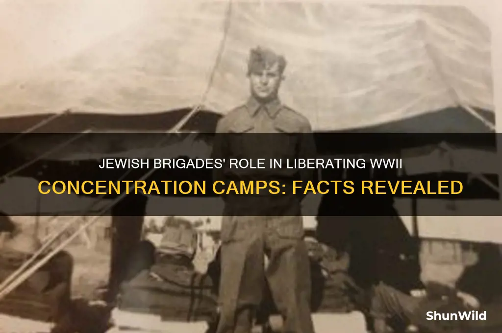 did any jewish brigades free concentration camps in wwii