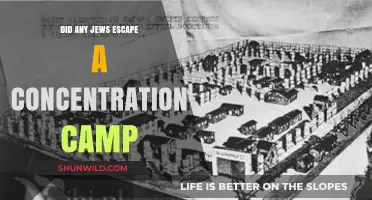 Escaping the Unimaginable: Jewish Survivors of Concentration Camps