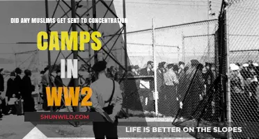 Forgotten Victims: Muslims in WWII Concentration Camps – Uncovering History