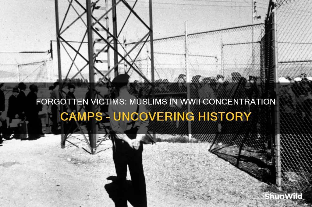 did any muslims get sent to concentration camps in ww2