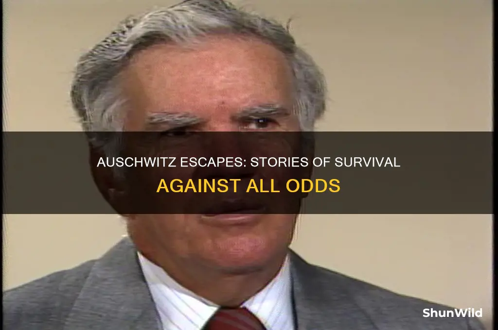 did anyone escape auschwitz concentration camp
