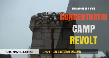 WWII Concentration Camp Revolts: Uncovering Stories of Resistance and Defiance