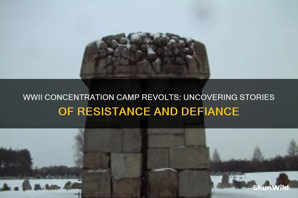 did anyone in a ww2 concentration camp revolt