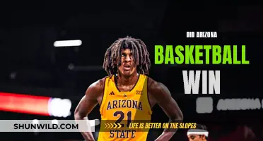 Arizona Basketball: Champions or Contenders?