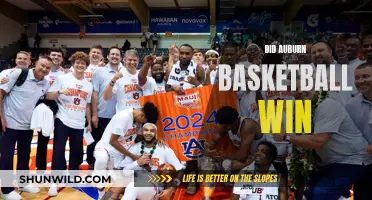 Auburn Basketball: Did They Win?