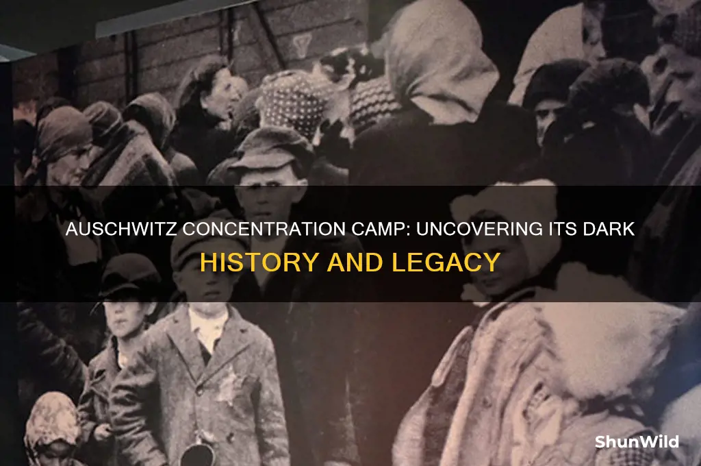 did auserich concentration camp