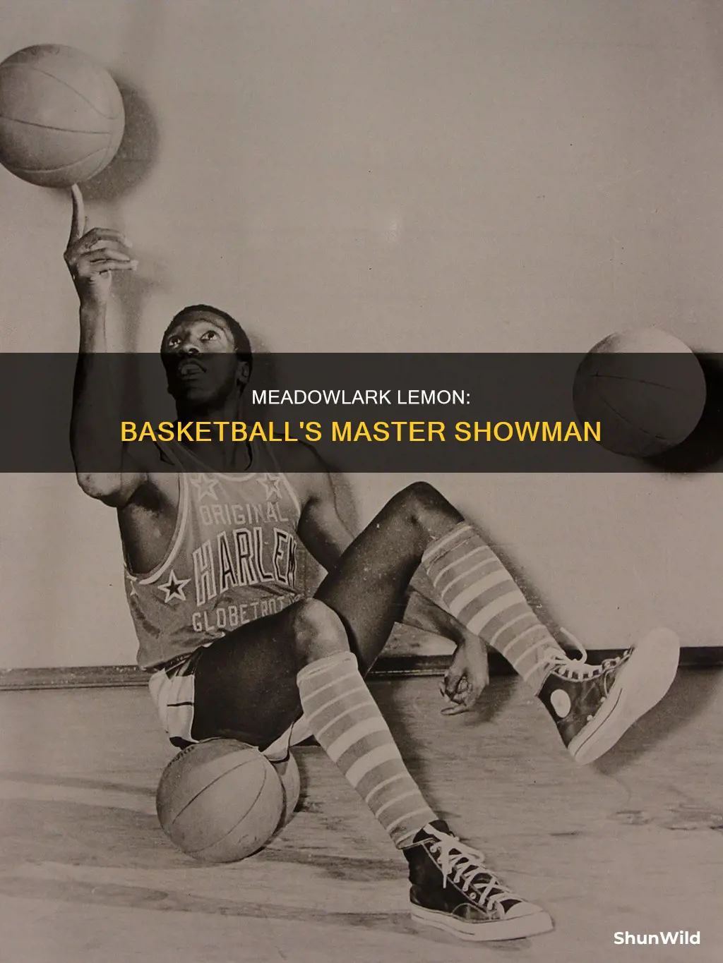 did basketball leguan meadowlark lemon