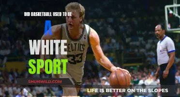 Basketball's Racial History: White-Dominated Sport?