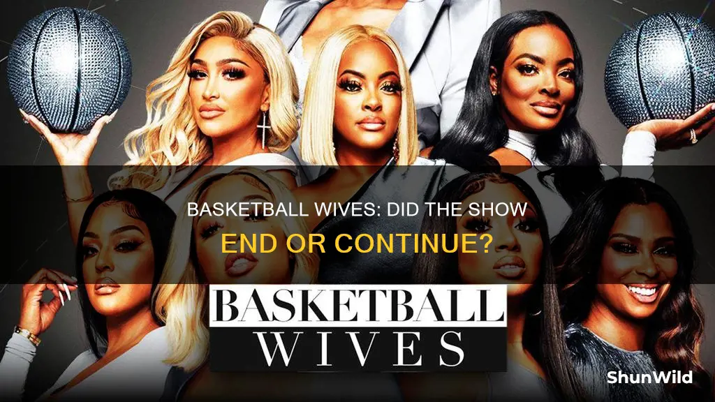 did basketball wives end