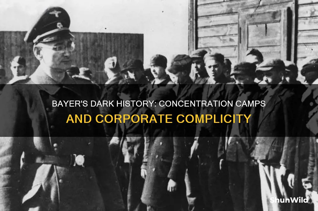 did bayer own concentration camps
