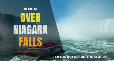 The Niagara Falls Boat Stunt: Who Took the Plunge?