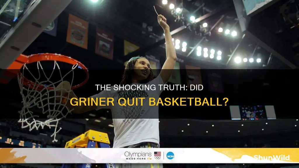 did brittney griner quit basketball
