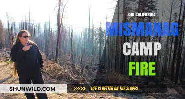 California's Camp Fire Mismanagement: Uncovering the Truth Behind the Tragedy