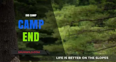Did Camp Camp End? Exploring the Fate of the Animated Series