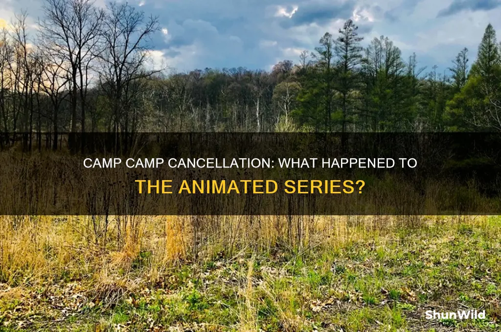 did camp camp get cancelled