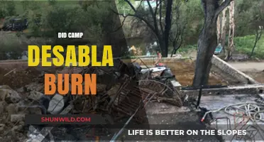 Camp Desabla Fire: Unraveling the Truth Behind the Burning Mystery