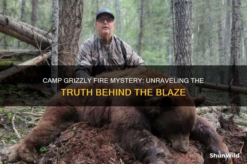 did camp grizzly burn