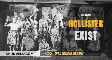 Unveiling the Mystery: Did Camp Hollister Really Exist?