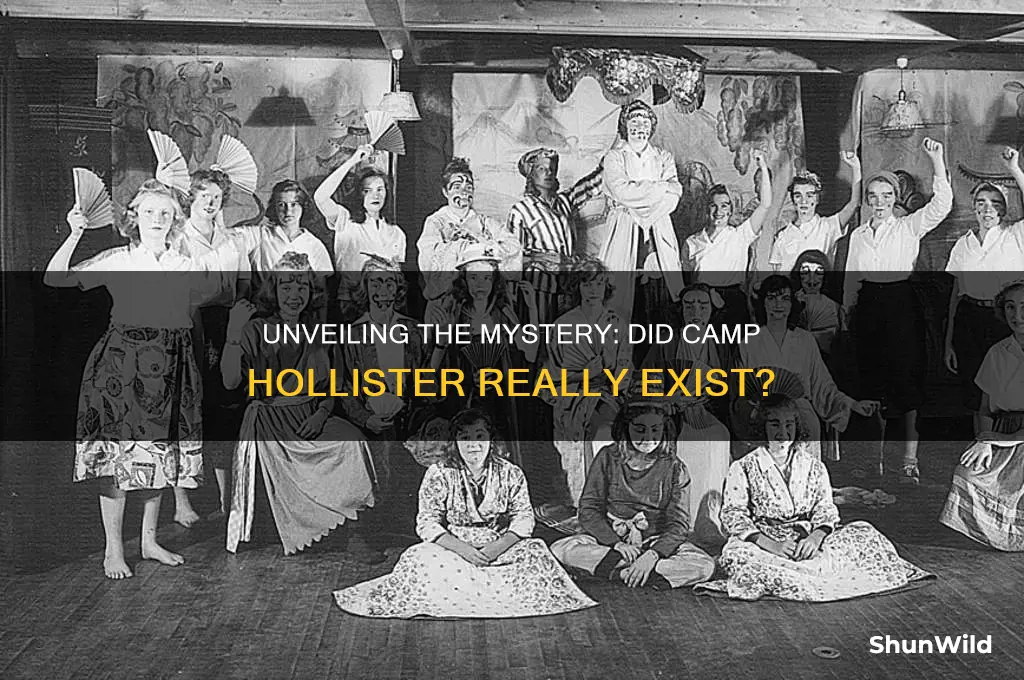 did camp hollister exist