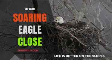 Camp Soaring Eagle Closure: What Happened and Why It Shut Down