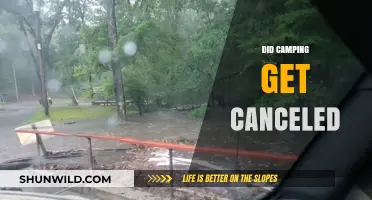 Did Camping Get Canceled? Exploring the Current State of Outdoor Adventures