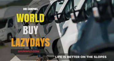 Camping World's Acquisition: Did They Purchase Lazydays RV Dealership?