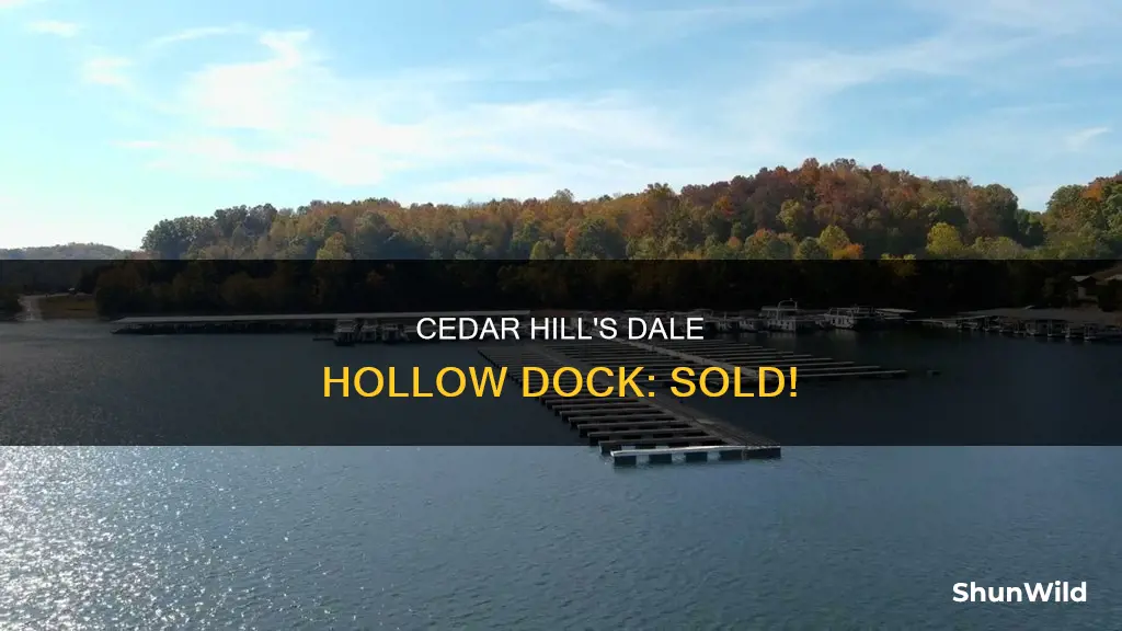 did cedar hill boat dock dale hollow sale