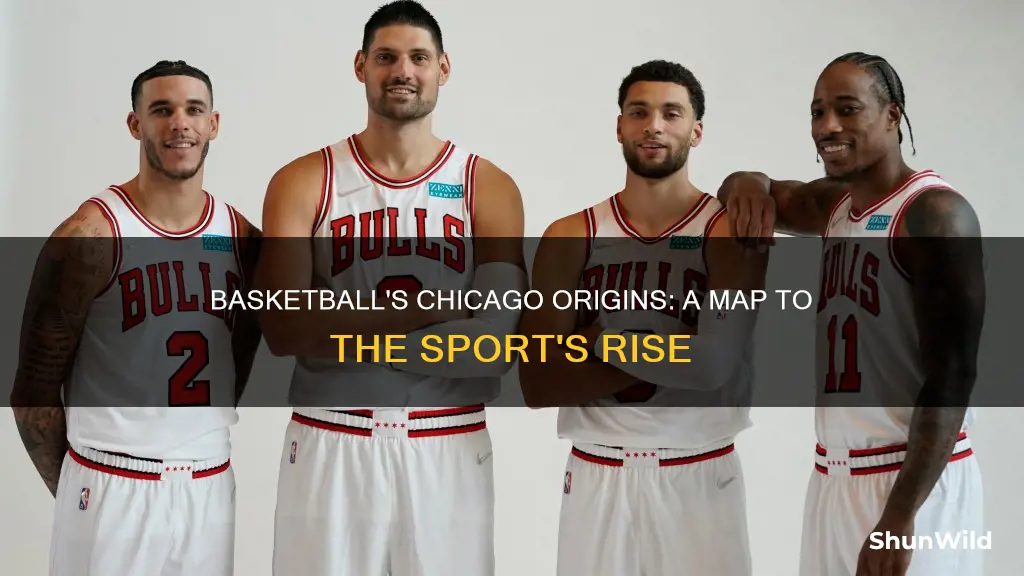 did chicago put basketball on the mao