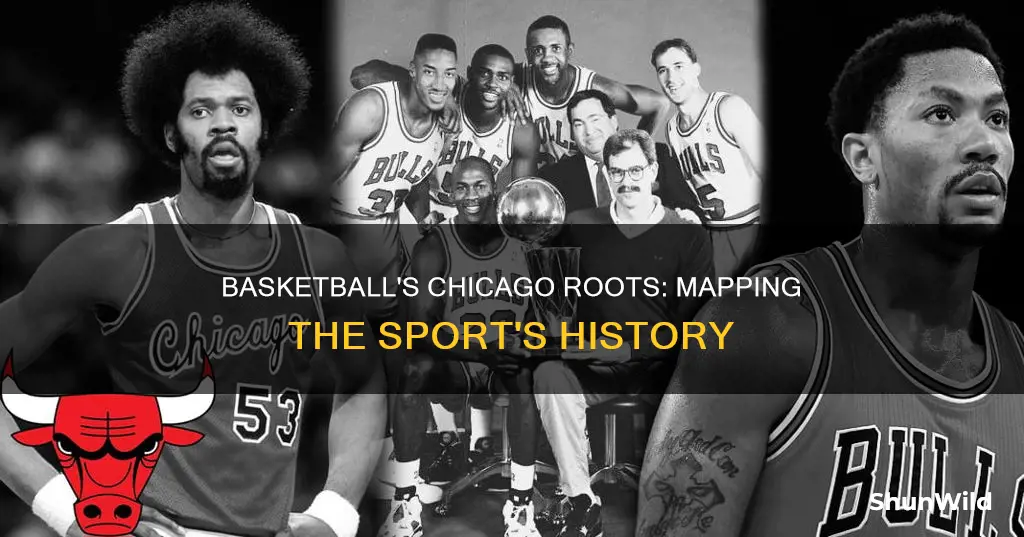 did chicago put basketball on the map