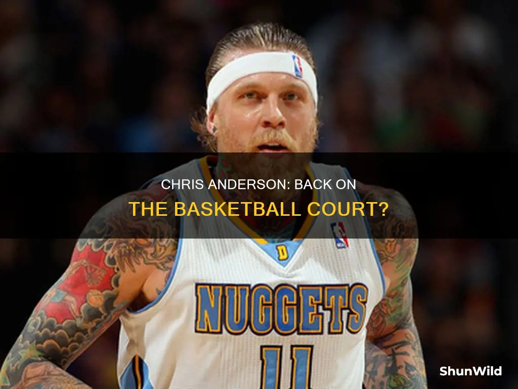 did chris anderson go back to basketball