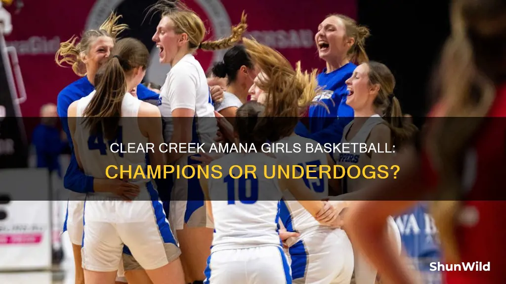 did clear creek amana girls basketball win