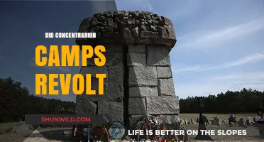 Resistance in Hell: Did Concentration Camp Prisoners Revolt?