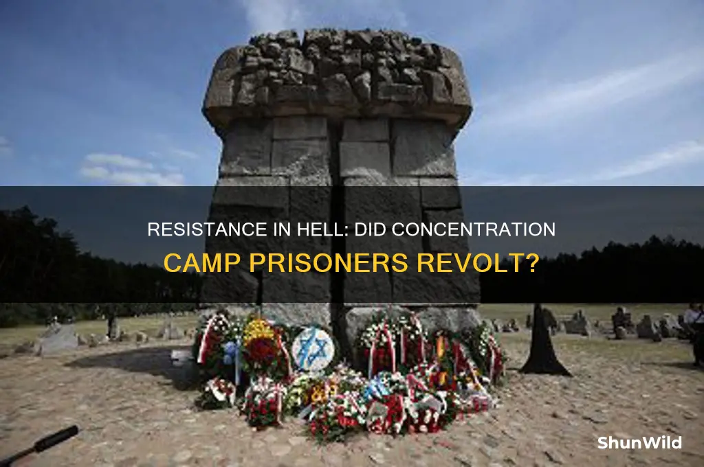 did concentrarion camps revolt