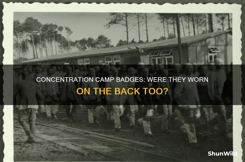 did concentration camp internees have badge on their backs too