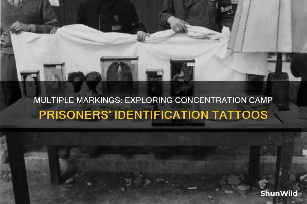 did concentration camp prisoners sometimes have more than one marking