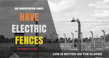 Electric Fences in Concentration Camps: Historical Facts and Misconceptions