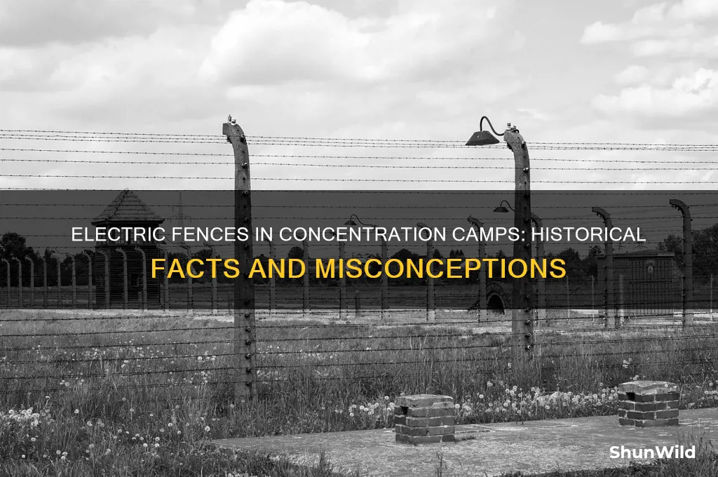 did concentration camps have electric fences