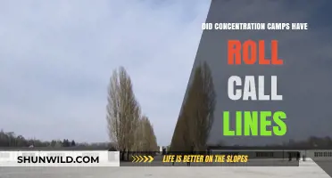 Roll Call Lines in Concentration Camps: Historical Facts and Insights