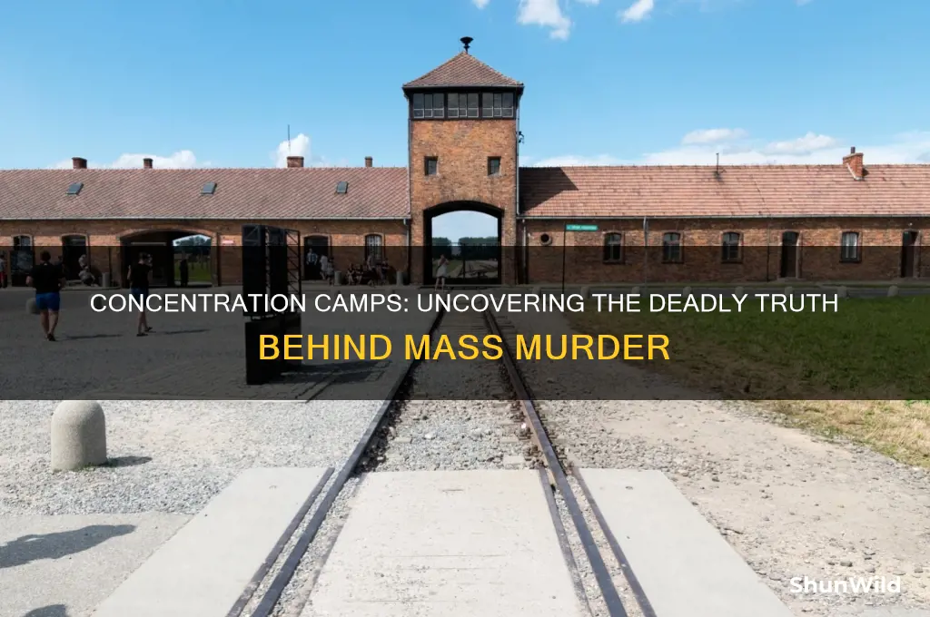 did concentration camps kill people