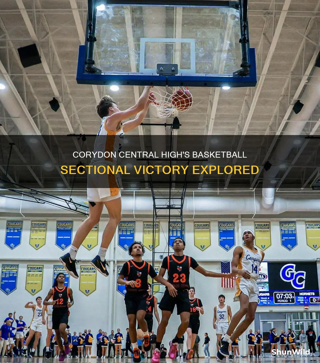 did corydon central high win the basketball sectional