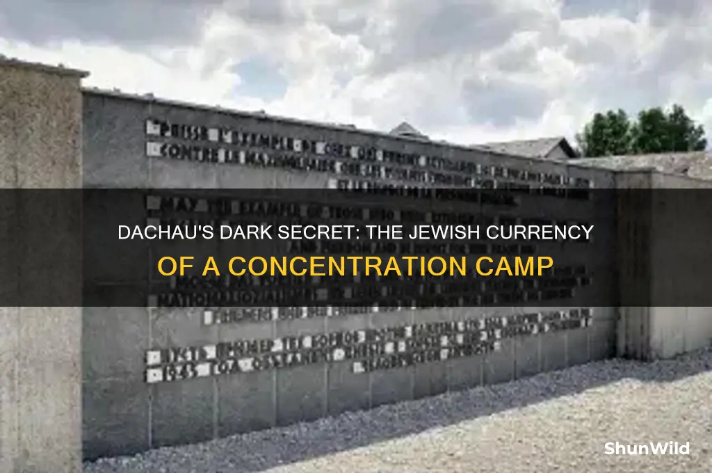 did dachau concentration camp have it
