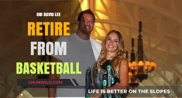 David Lee's Basketball Legacy: Retirement and Achievements